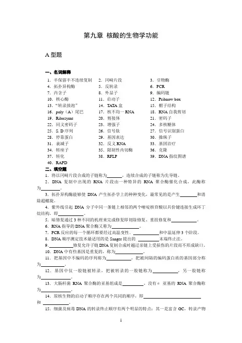 核酸的生物学功能