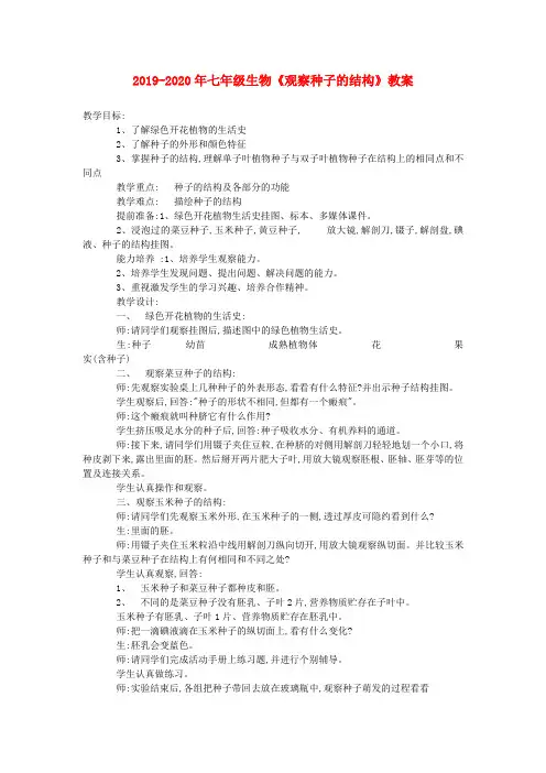 2019-2020年七年级生物《观察种子的结构》教案