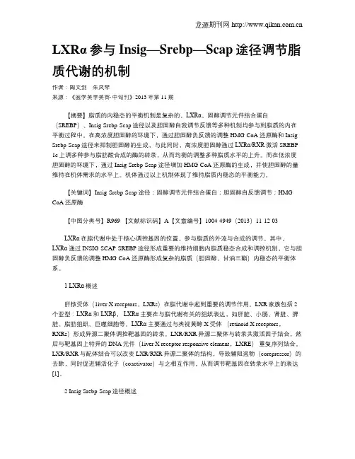 LXRα参与Insig—Srebp—Scap途径调节脂质代谢的机制