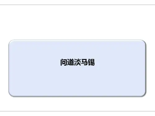 《问道淡马锡》