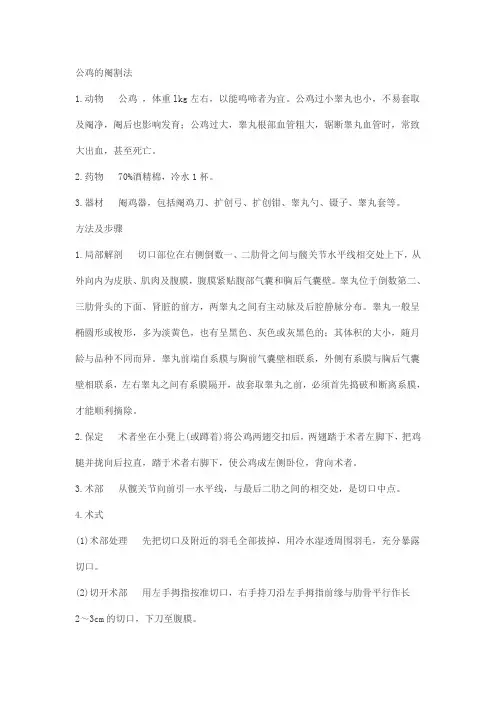公鸡的阉割法