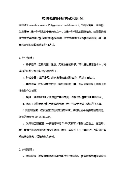 绞股蓝的种植方式和时间
