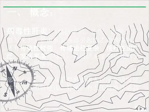 甲型和戊型病毒性肝炎PPT