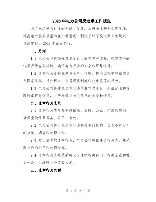 2023年电力公司反违章工作规定