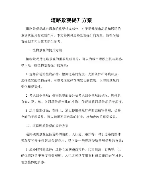 道路景观提升方案