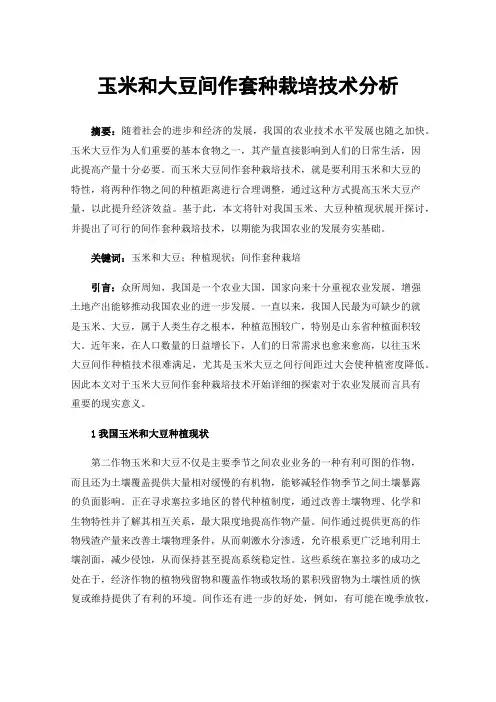 玉米和大豆间作套种栽培技术分析