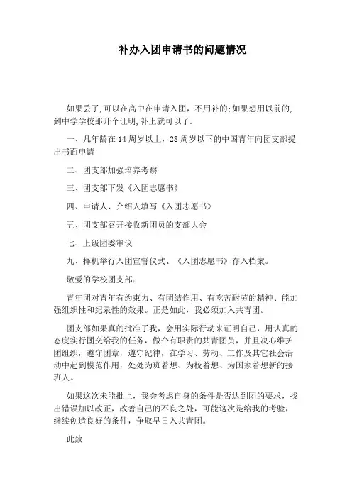 补办入团申请书的问题情况