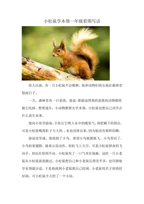 小松鼠学本领一年级看图写话
