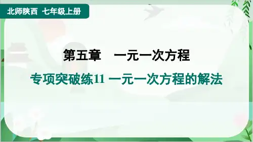 2024年北师大版七年级上册数学复习专项突破练11 一元一次方程的解法