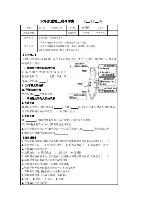 第二节     单细胞生物导学案 2022-2023学年初中六年级上册生物
