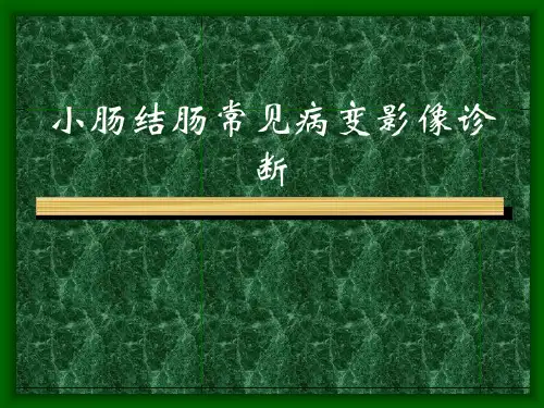 小肠病变影像诊断