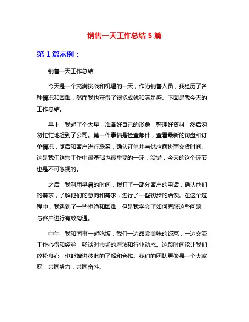 销售一天工作总结5篇