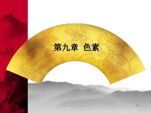 高级食品化学讲稿色素课件