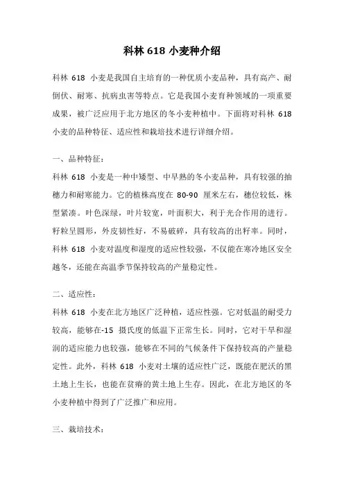 科林618小麦种介绍