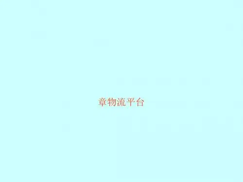 物流平台概述(PPT37张)