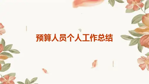 预算人员个人工作总结PPT