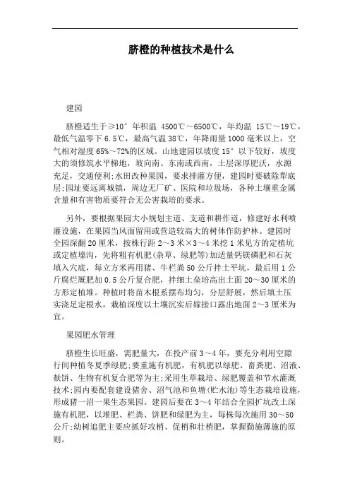 脐橙的种植技术是什么