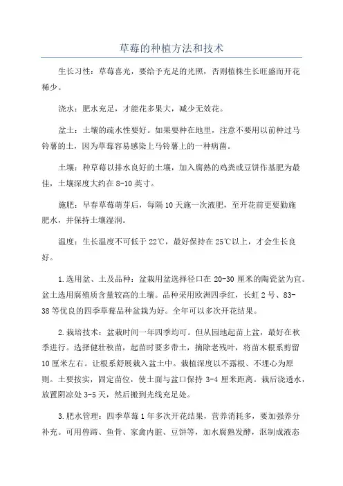 草莓的种植方法和技术