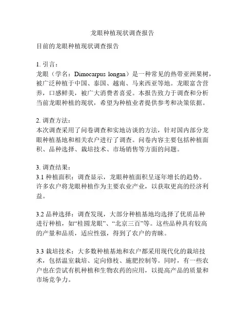 龙眼种植现状调查报告