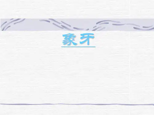 象牙