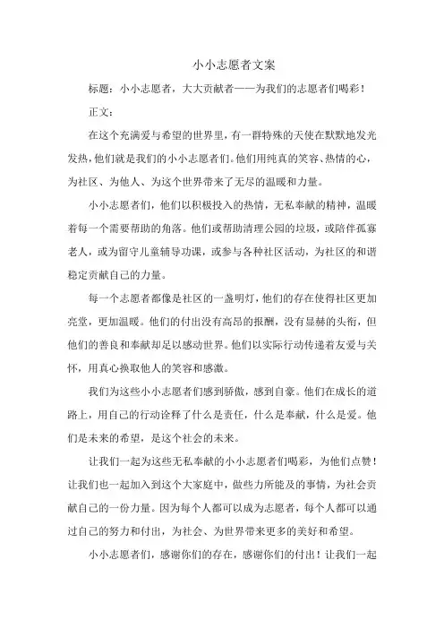 小小志愿者文案