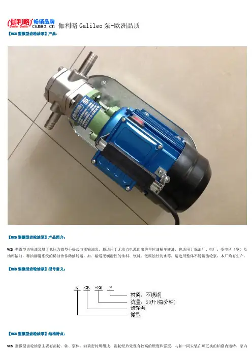 微型齿轮油泵型号及参数