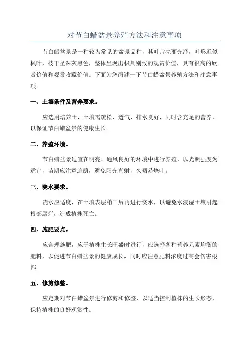 对节白蜡盆景养殖方法和注意事项