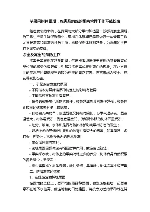 苹果果树休眠期，冻害及霜冻的预防管理工作不能松懈