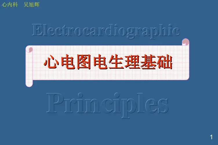 心电图的电生理基础