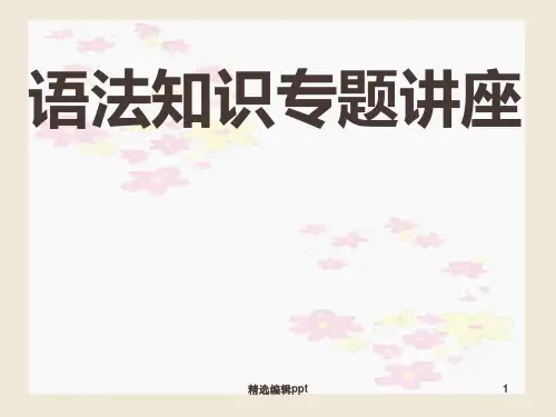 现代汉语语法基础知识ppt课件