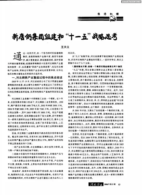 新唐钢集团组建和“十一五”战略思考