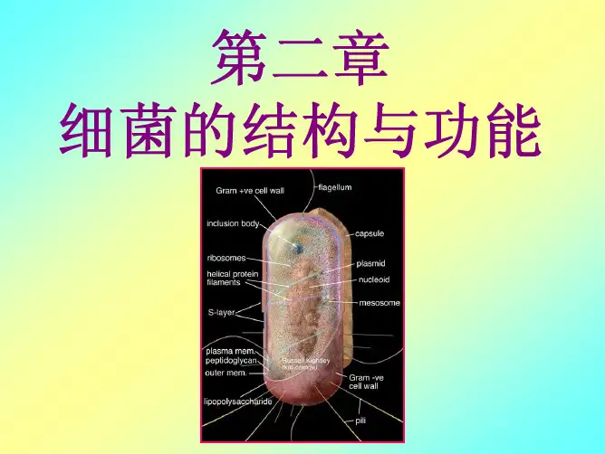 第二章1细菌的结构与功能