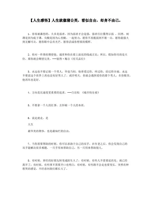 【人生感悟】人生就像蒲公英,看似自由,却身不由己。