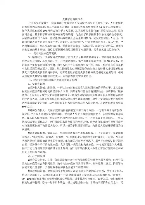 失独家庭调研报告