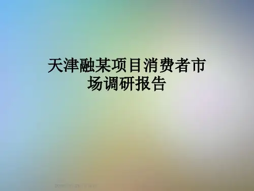 天津融某项目消费者市场调研报告