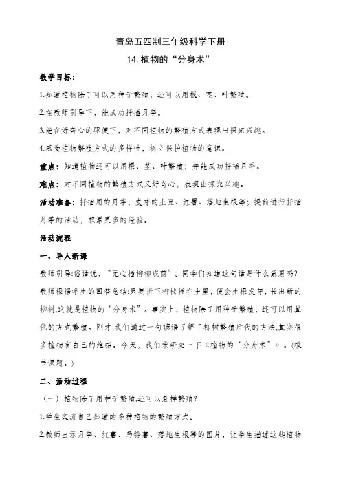 青岛五四制三年级科学下册14.植物的“分身术”教案