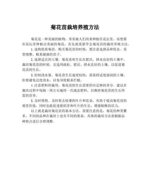 菊花苗栽培养殖方法