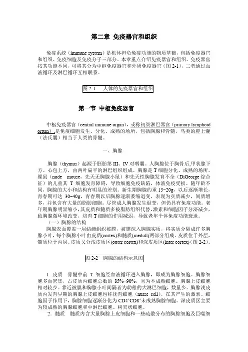 第二章 免疫器官和组织