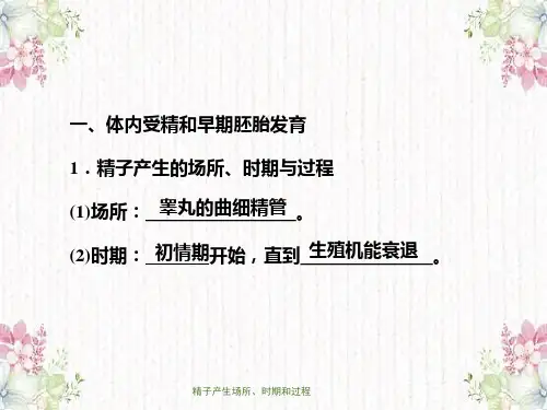 精子产生场所、时期和过程