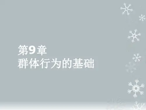 组织行为学群体行为的基础