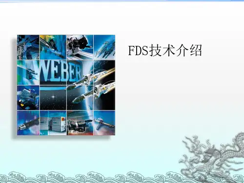 FDS技术介绍