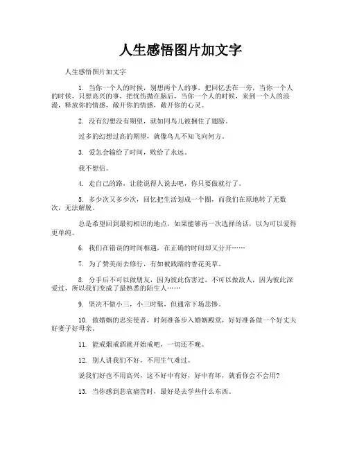 人生感悟图片加文字