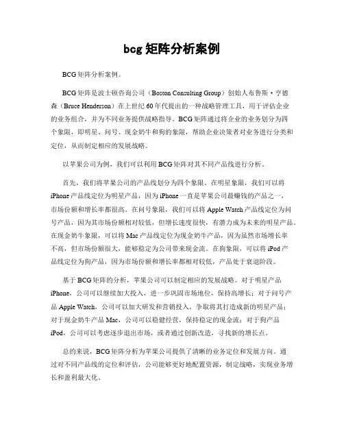bcg矩阵分析案例