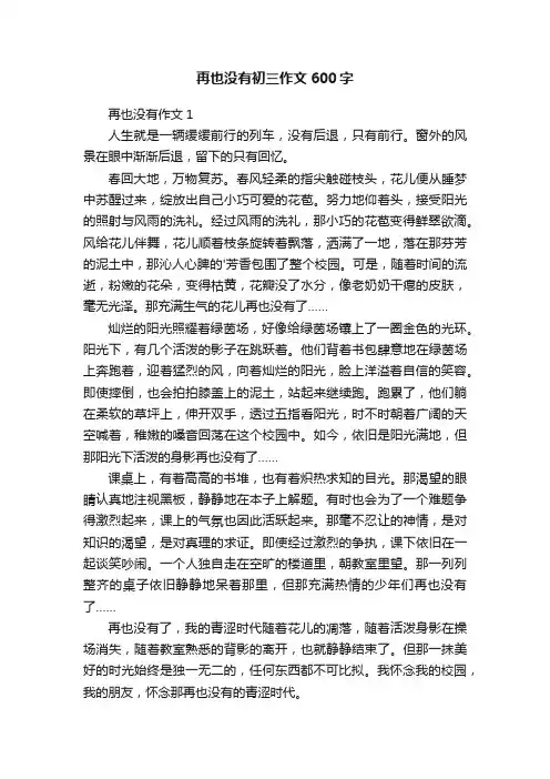 再也没有初三作文600字