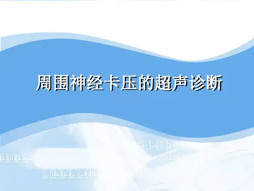 周围神经卡压的超声诊断-PPT精品课件