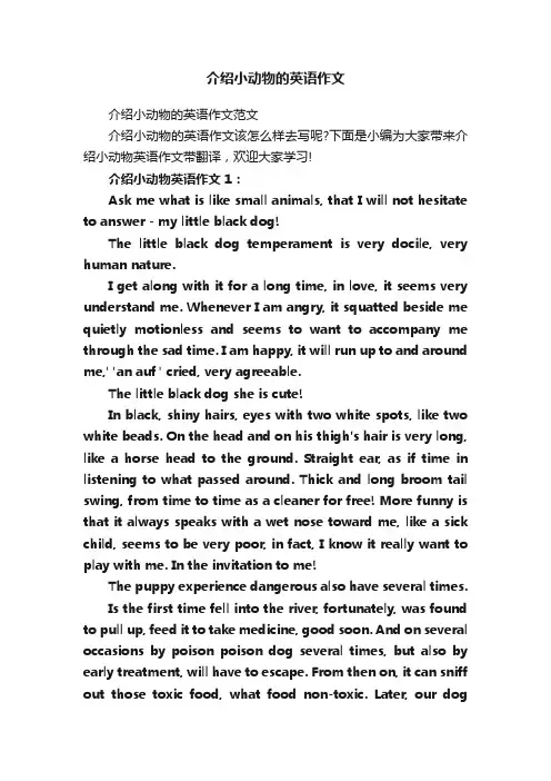介绍小动物的英语作文