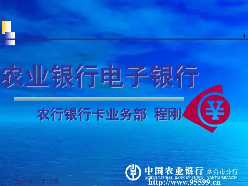 农业银行电子银行