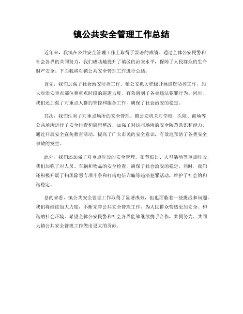 镇公共安全管理工作总结