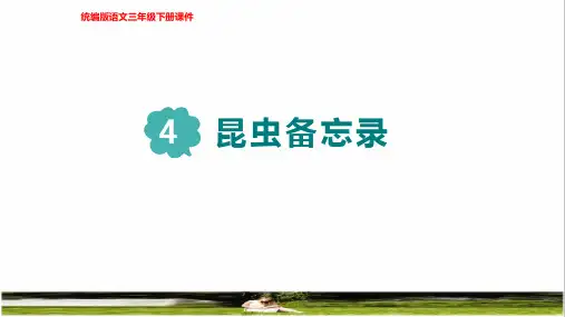 2023春统编版三年级语文下册第一单元第4课《昆虫备忘录》课件