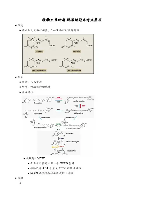 植物生长物质-脱落酸期末考点整理